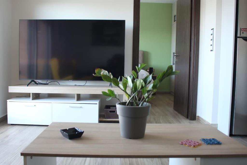 Agnes Apartment Filopappou Atene Esterno foto
