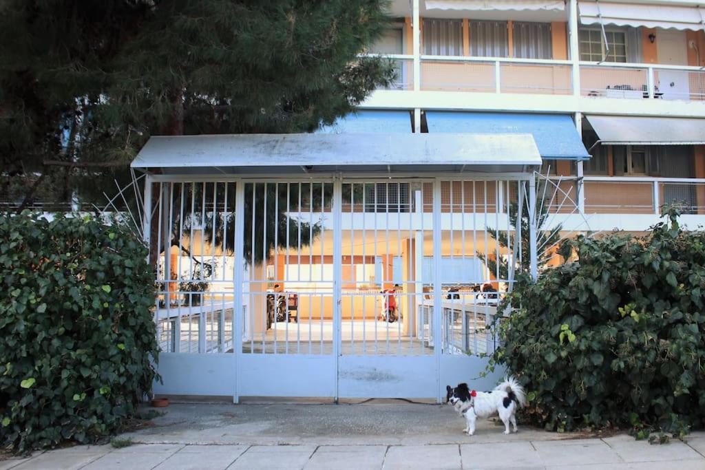 Agnes Apartment Filopappou Atene Esterno foto