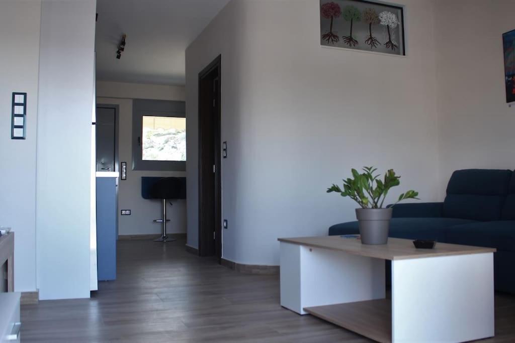 Agnes Apartment Filopappou Atene Esterno foto